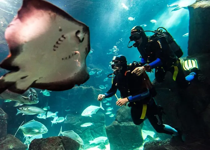 Aqua Natura Bay Hotel Porto Moniz