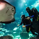Aqua Natura Bay فندق بورتو مونيز