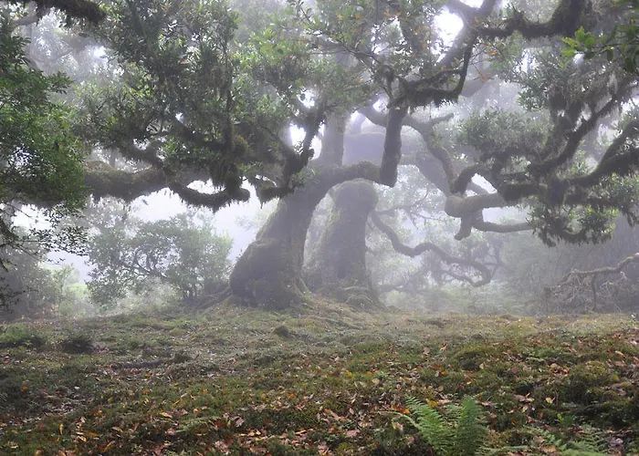 Aqua Natura Bay 4* Porto Moniz